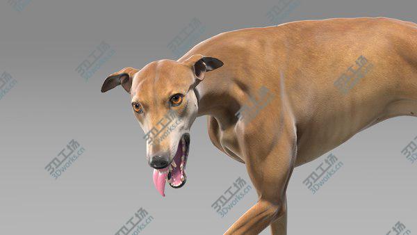 images/goods_img/20210312/3D Greyhound Animated/3.jpg